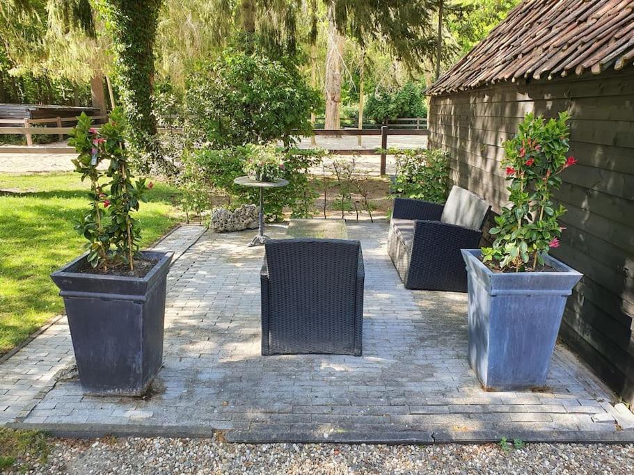 Midden In De Friese Bossen Op Landgoed Princenhof Oranjewoud Bagian luar foto
