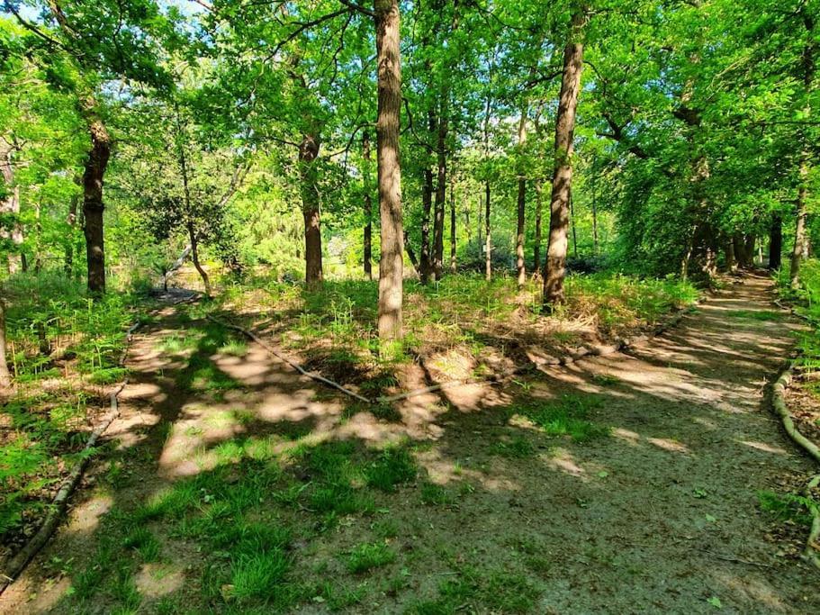 Midden In De Friese Bossen Op Landgoed Princenhof Oranjewoud Bagian luar foto