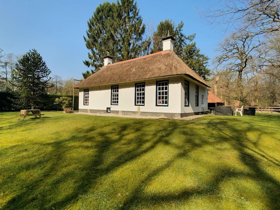Midden In De Friese Bossen Op Landgoed Princenhof Oranjewoud Bagian luar foto