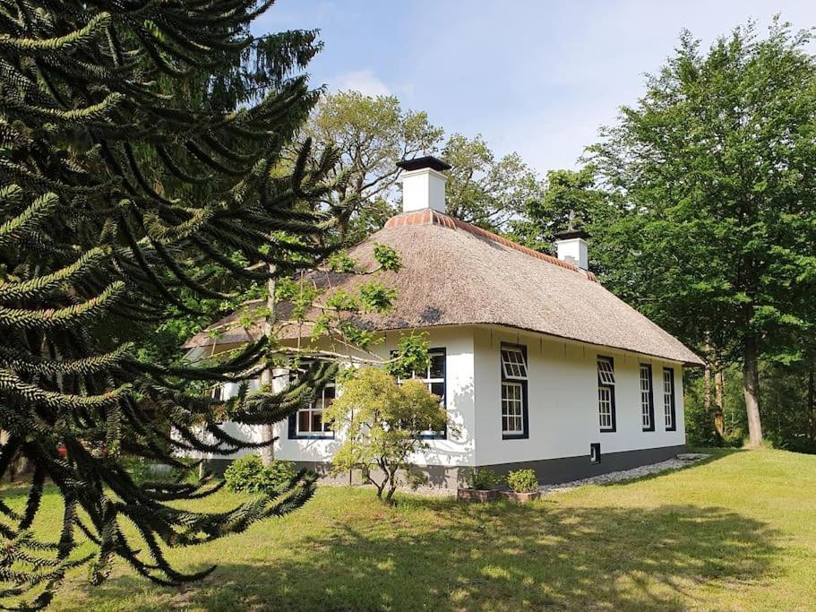 Midden In De Friese Bossen Op Landgoed Princenhof Oranjewoud Bagian luar foto