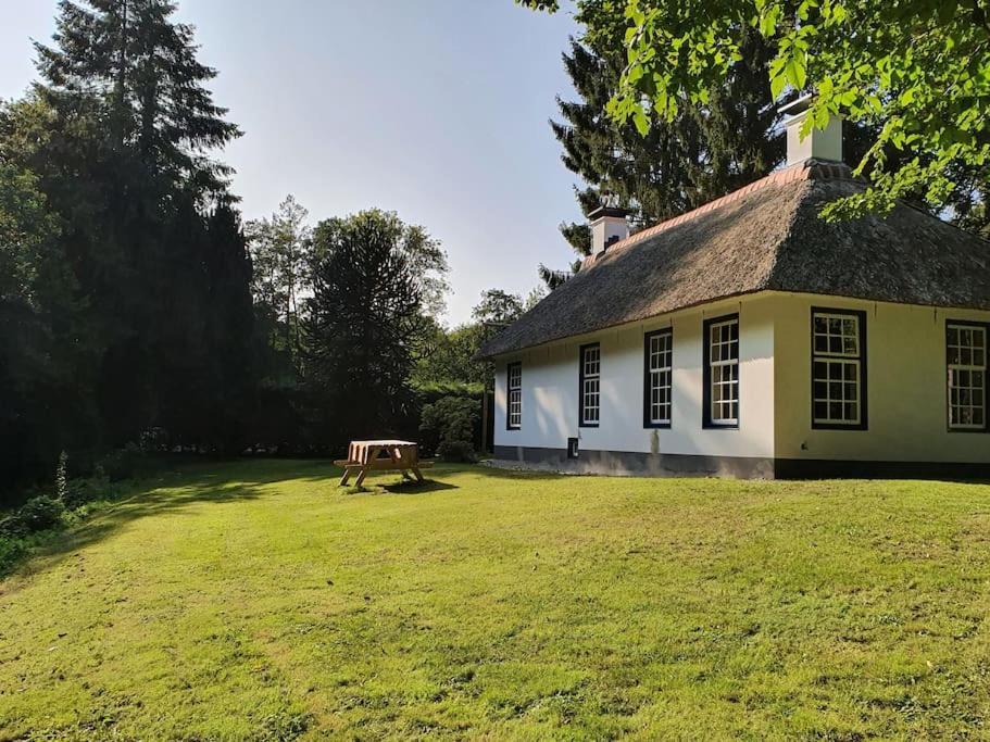 Midden In De Friese Bossen Op Landgoed Princenhof Oranjewoud Bagian luar foto