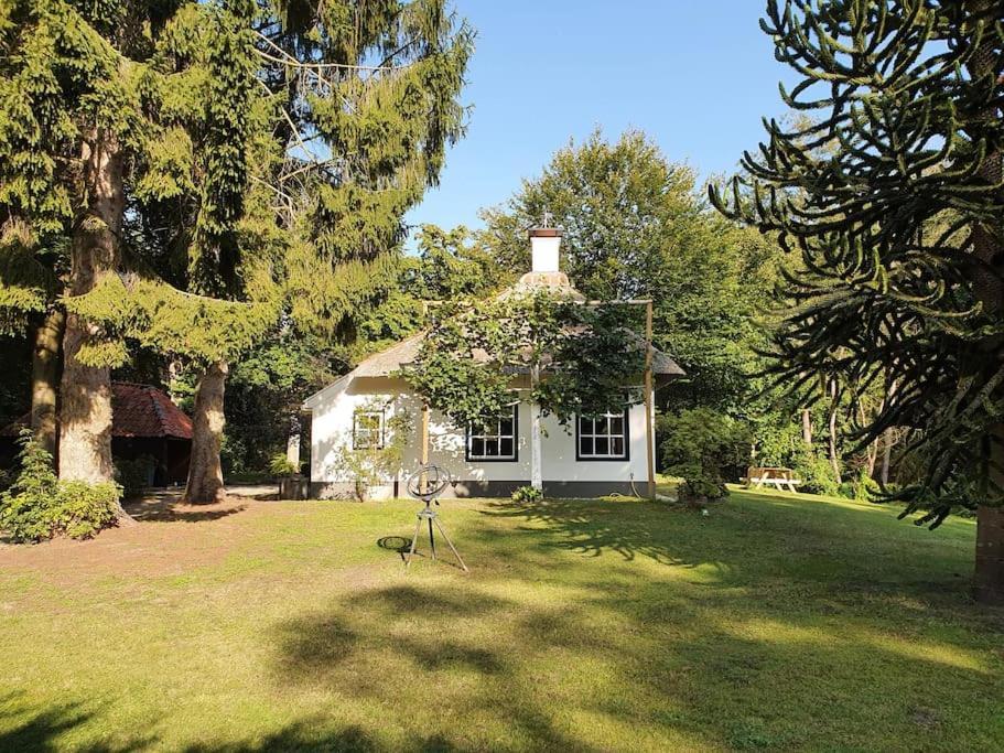 Midden In De Friese Bossen Op Landgoed Princenhof Oranjewoud Bagian luar foto