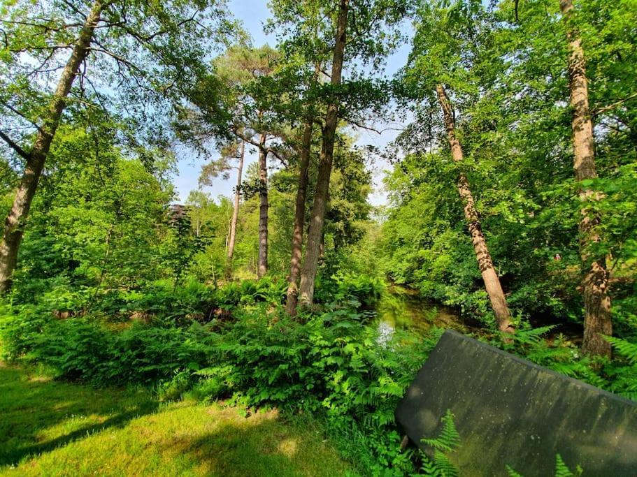 Midden In De Friese Bossen Op Landgoed Princenhof Oranjewoud Bagian luar foto