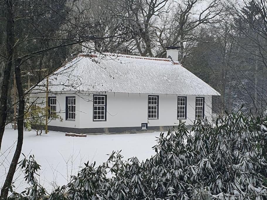 Midden In De Friese Bossen Op Landgoed Princenhof Oranjewoud Bagian luar foto