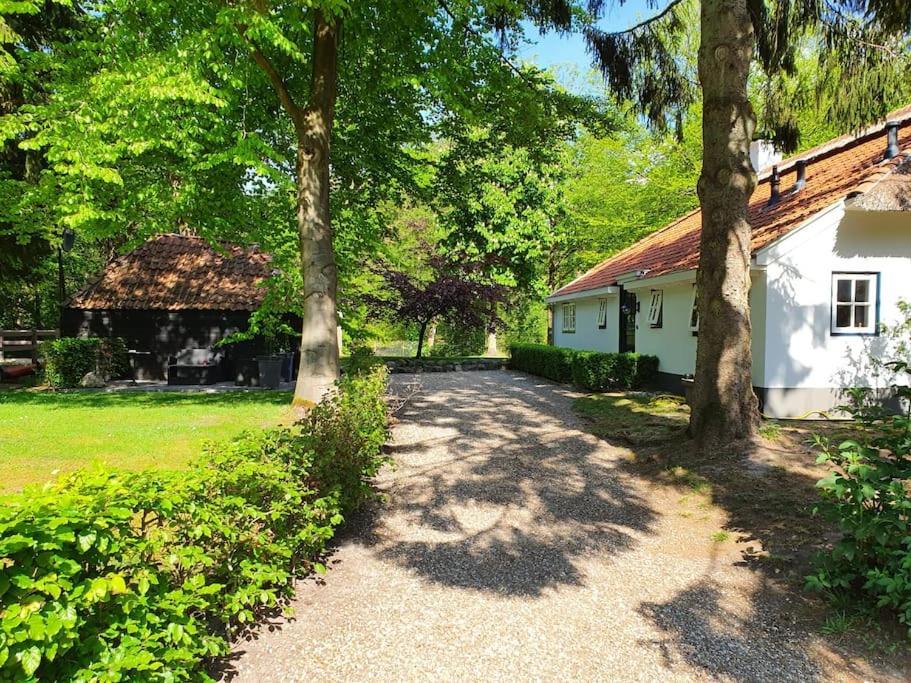 Midden In De Friese Bossen Op Landgoed Princenhof Oranjewoud Bagian luar foto