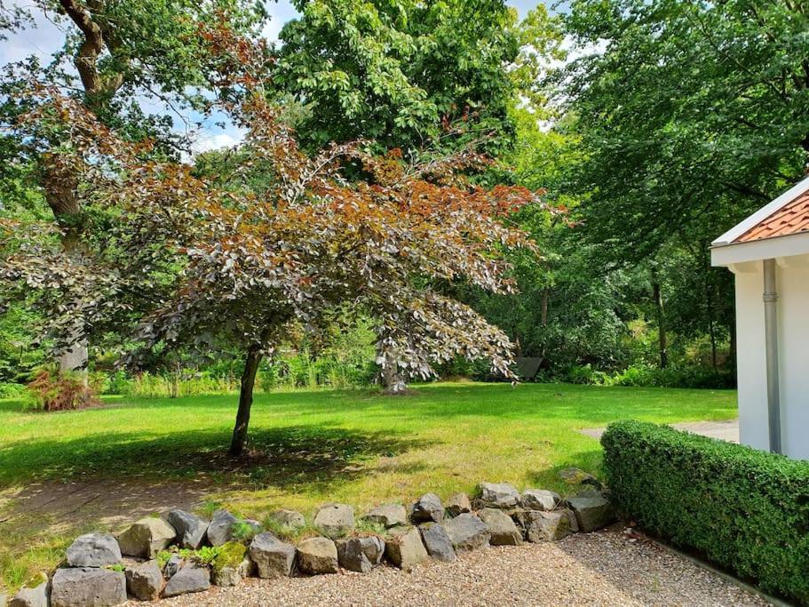 Midden In De Friese Bossen Op Landgoed Princenhof Oranjewoud Bagian luar foto