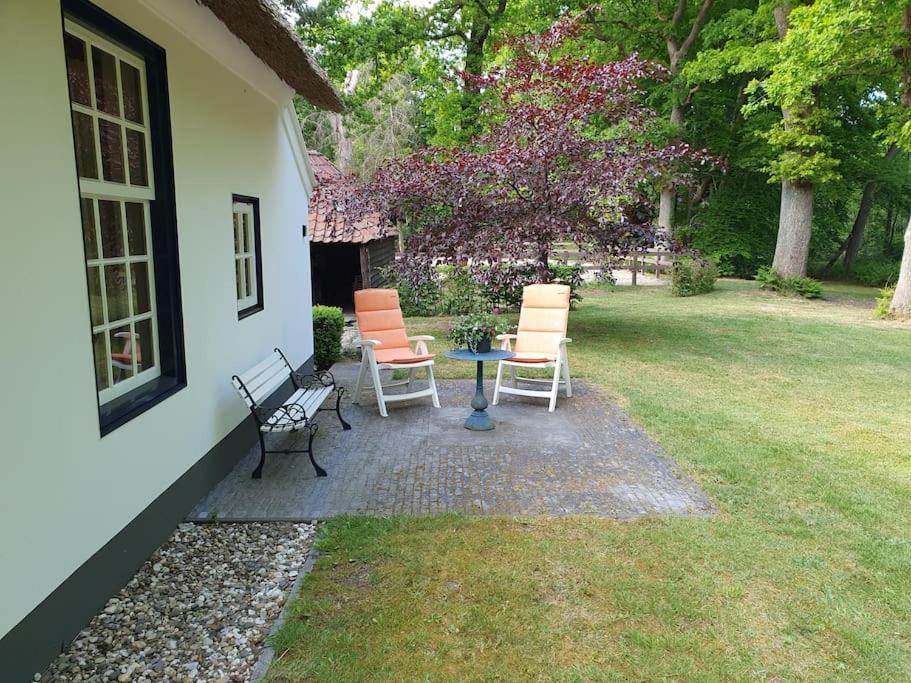 Midden In De Friese Bossen Op Landgoed Princenhof Oranjewoud Bagian luar foto