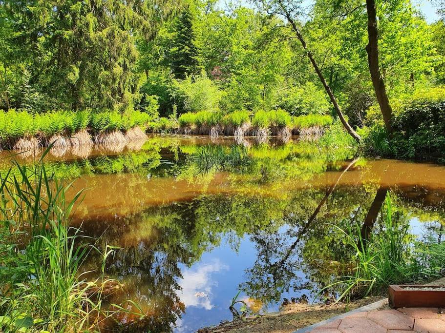 Midden In De Friese Bossen Op Landgoed Princenhof Oranjewoud Bagian luar foto