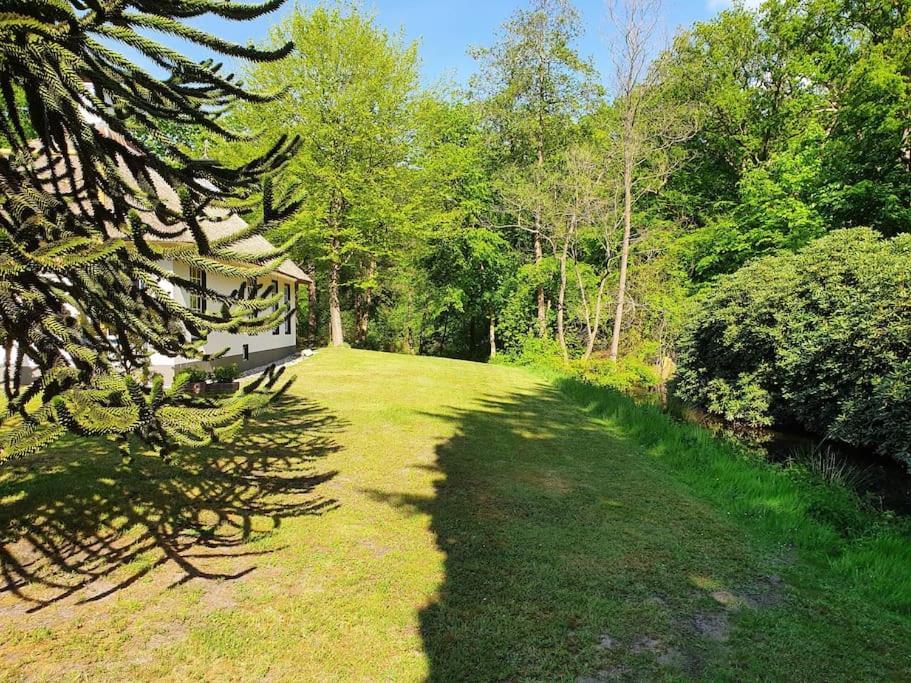 Midden In De Friese Bossen Op Landgoed Princenhof Oranjewoud Bagian luar foto