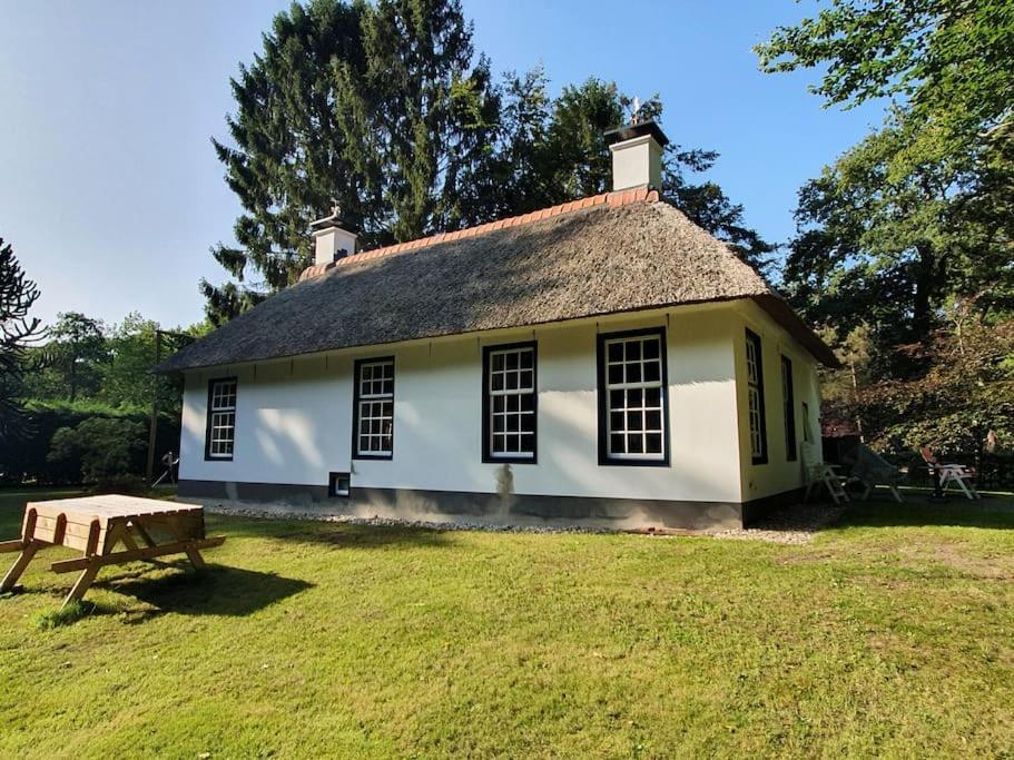 Midden In De Friese Bossen Op Landgoed Princenhof Oranjewoud Bagian luar foto