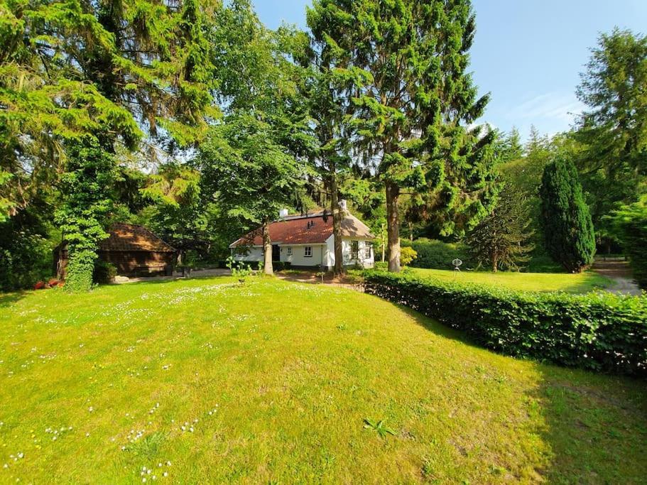 Midden In De Friese Bossen Op Landgoed Princenhof Oranjewoud Bagian luar foto